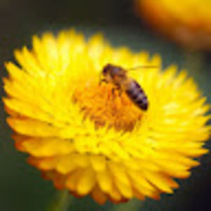 Meet your Posher, Ana belen